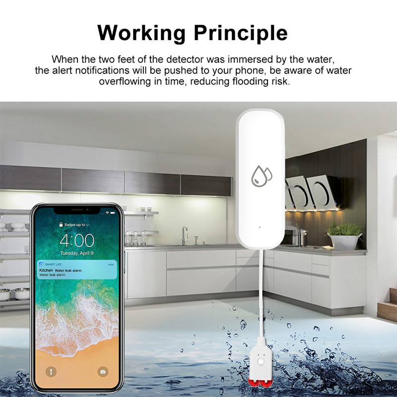 Tuya WiFi Water Leakage Alarm  - Home Security And Monitoring 评论和价格