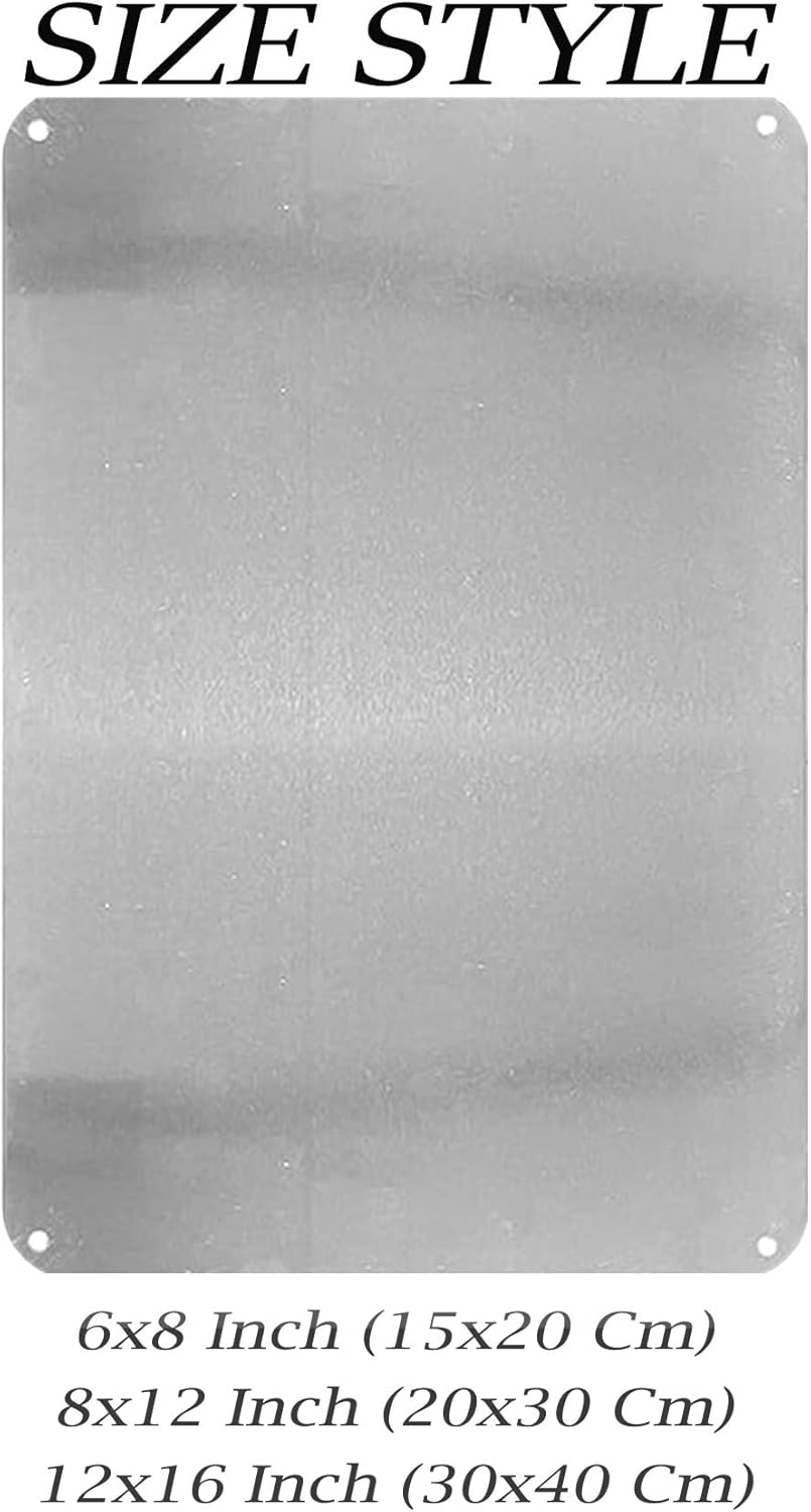 Security Camera Metal Tin Sign - Home Security Bars 评论和价格